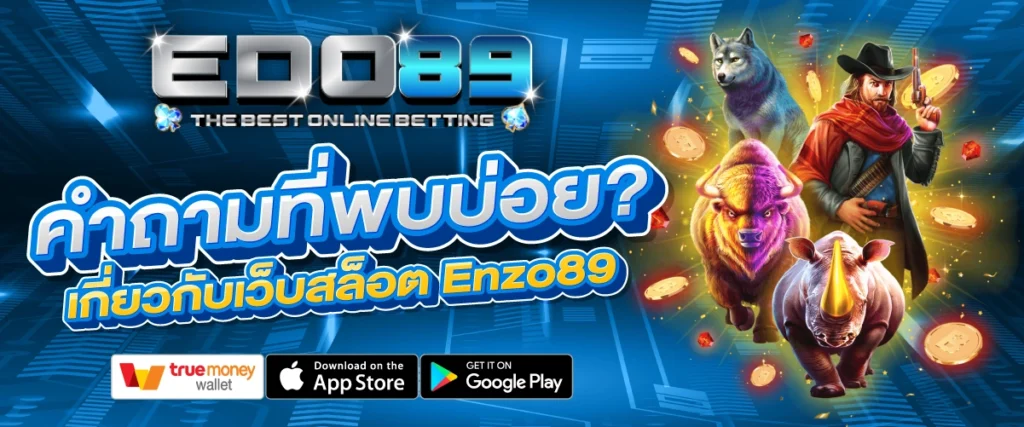 คำถามที่พบบ่อย Enzo89